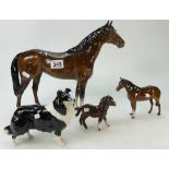 Beswick large Hunter 1734, small Stallion 1992, Shetland Foal 1034, and Sheepdog large 1792. (4).