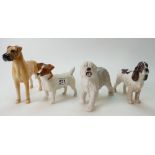 Beswick Great Dane 968, Jack Russell Terrier 2023,