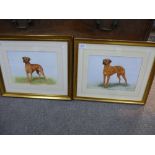 2similar watercolours of dogs by Anne Zoutsos