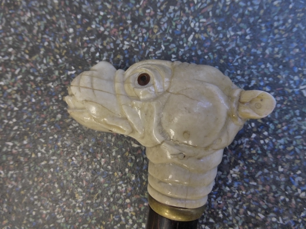 An old walking stick having carved Bulldog Lead Knob - Bild 3 aus 3