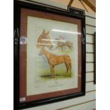 A Horse racing print of 'Pebbles Pencil’ signed by Pat Eddery