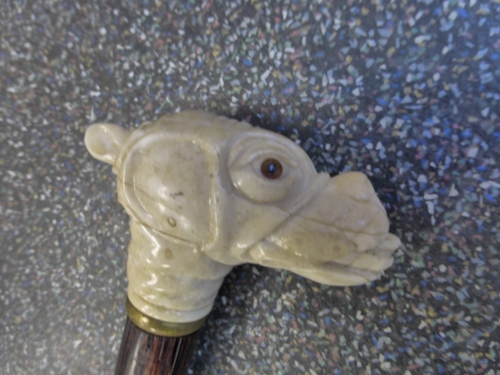 An old walking stick having carved Bulldog Lead Knob - Bild 2 aus 3
