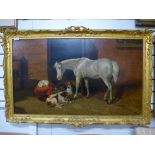 An antique oil of horse and dogs in farmyard, indistinctly signed Philipsen, relined, 103 X 60cms.