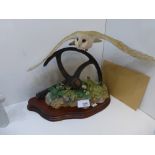 Sculpture of an Owl 'Evening Flight' 77/1250 signed Ayres AFG by Border Fine Arts, Including