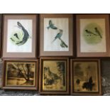 A set of three KB Newman coloured bird prints, mounted & framed; and three American sepia romantic