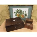 A Victorian rosewood box with mother-of-pearl tablet to lid; a rectangular tray with apple panel