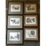 Michael Duncan, two sets of three Canadian Indian prints, signed in pencil on margins, mounted &