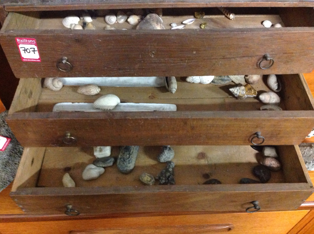 A three drawer cabinet containing a collection of seashells and geological specimens - volcanic, - Image 4 of 6