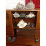 A three drawer cabinet containing a collection of seashells and geological specimens - volcanic,