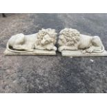 A pair of composition stone lions, the recumbent beasts on rectangular moulded plinths. (2)