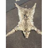 A serval rug, the taxidermied animal mounted on felt with complete head, glass eyes, etc.