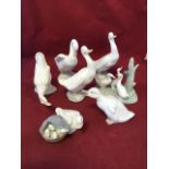 A collection of Lladro and Nao Spanish porcelain ducks including groups, various poses, etc. (7)