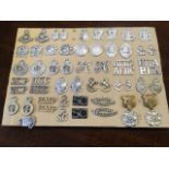 A collection of police badges mounted on board - special constabulary, diving, Admiralty