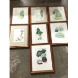 A set of seven coloured vegetable prints, the set mounted and framed. (7)