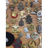 A collection of military badges, various regiments, corps, constabularies, etc. (50)