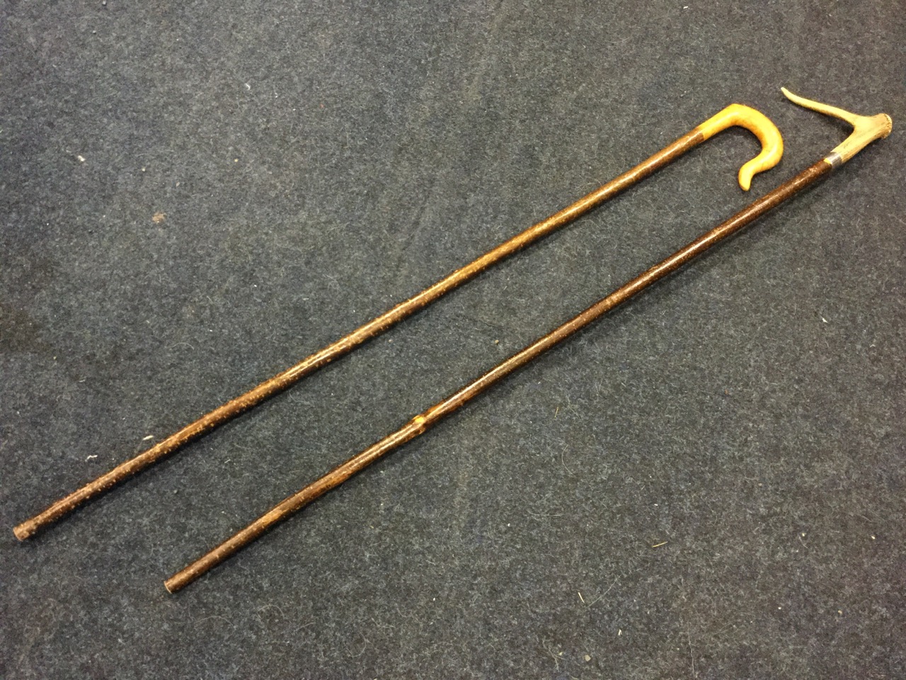 A hazel stick mounted with carved burr hardwood crook; and another of similar length having staghorn