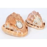 Two 19th century cameo carved conch shells - one decorated with profile bust and Lord Wellington,