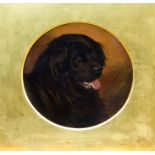 George Earl (1824 - 1908), oil on board - portrait of Newfoundland, tondo, 26cm diameter,