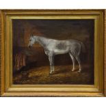 Victorian English School oil on canvas - a grey hunter in stable, the initials C. A.