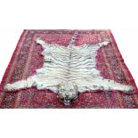 A good 1920s Van Ingen of Mysore Tiger skin rug with full head mount (numbered 814),