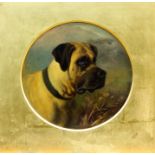 George Earl (1824 - 1908), oil on board - Bull Mastiff, signed, tondo, 26cm diameter,