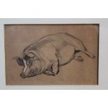 Charles Edmund Brock (1870 - 1938), pencil drawing - a sleeping pig, in glazed frame.