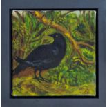 Gay Strutt, contemporary oil on canvas - Crow, initialled, framed,