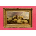 Charles 'Sheep' Jones (1836 - 1892), oil on canvas - sheep on a hillside in extensive landscape,