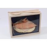 Jo Welsh, contemporary mixed media sculpture - shellfish and cutlery in a box,