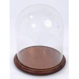 A glass dome on turned wooden base, ideal for a taxidermy display, 32cm high overall,