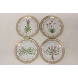 Set of four good quality Royal Copenhagen botanical plates with gilt rims CONDITION