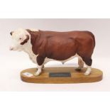 Beswick Connoisseur model - Polled Hereford Bull,