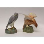 Two Spode bone china birds - Montagu's Harrier (male and female)