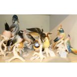 Nine various Karl Ens porcelain birds (all damaged) CONDITION REPORT Mostly damaged