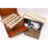Large collection of microscope slides in a mahogany case,