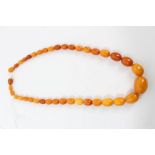 Old amber bead necklace with a string of graduated oval butterscotch amber beads, 48cm.