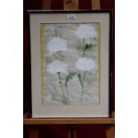 *Mary Newcomb (1922 - 2008), watercolour - white chrysanthemums, signed, in glazed frame,