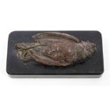 Late 19th century bronze study of a dead bird, on slate base,