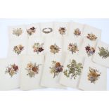 Collection of late 19th / early 20th century Palestinian dried flower pictures,