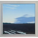 Jonathan Briggs (born 1956) acrylic on canvas 'Early evening near Ramsholt, Suffolk',