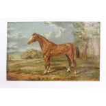 George Thomas Rope (1845 - 1929), oil on board - a chestnut horse in landscape, signed, unframed,