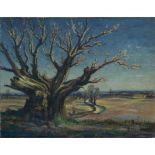 Paul Earee (1888 - 1968), oil on canvas - landscape with gnarled oak tree, signed, 61cm x 77cm,