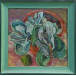 Rosemary Rutherford (1912 - 1972), oil on board - 'Cactus', titled to gallery label verso,