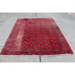 Pakistani Kilim stuff rug with multiple staggered rows of quartered medallions within geometric