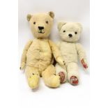 Teddy Bears - vintage bears, golden mohair, three stitched claws, glass eyes, pointed nose,