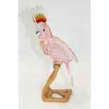 Swarovski crystal Birds of Paradise Collection model - Pink Cockatoo, 24cm high,