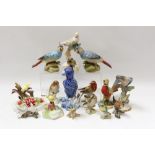 Selection of bird ornaments - including Royal Adderley, Capodimonte, Denton china,