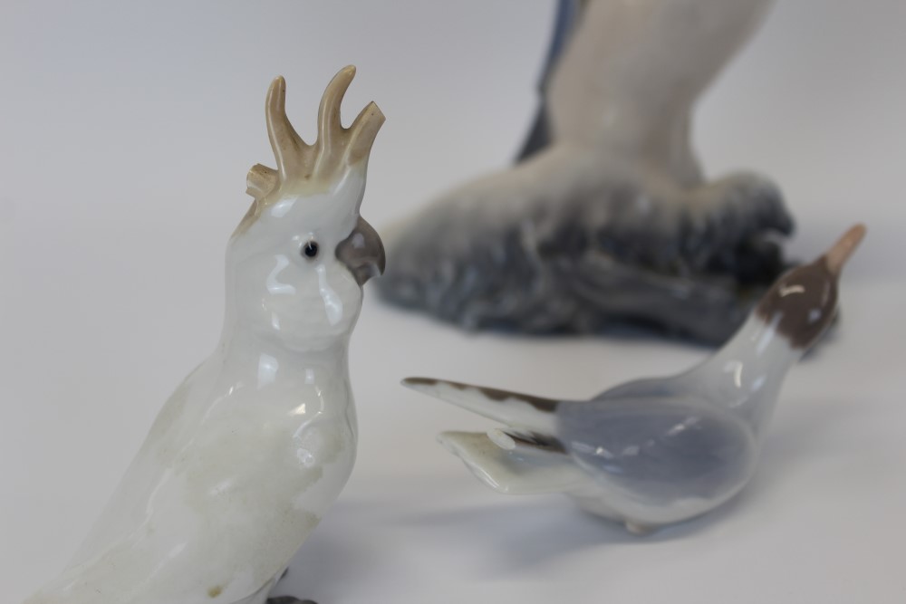 Royal Copenhagen porcelain figure of a fawn with parrot, by Christian Thomsen, numbered 752, - Bild 4 aus 5