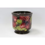 Moorcroft pottery jardinière decorated in the Hibiscus pattern on brown ground - impressed and