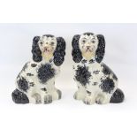 Pair of large Staffordshire Spaniels,